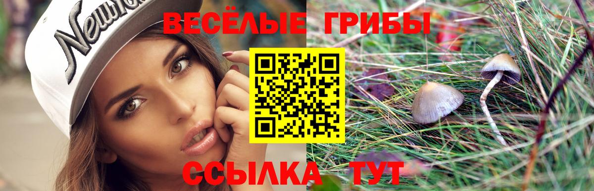 Галлюциногенные грибы Psilocybine cubensis  где найти   Вход с VPN  Аксай  Галлюциногенные грибы Magic Shrooms 